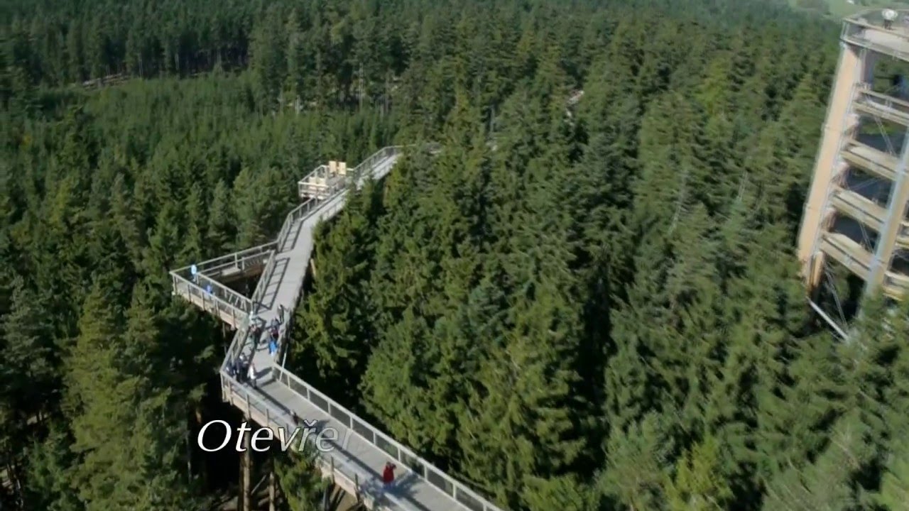 Stezka korunami stromů Lipno v létě