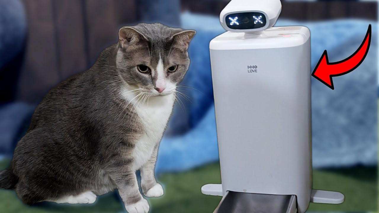 Самая умная кормушка для кошек, которую мы когда-либо тестировали