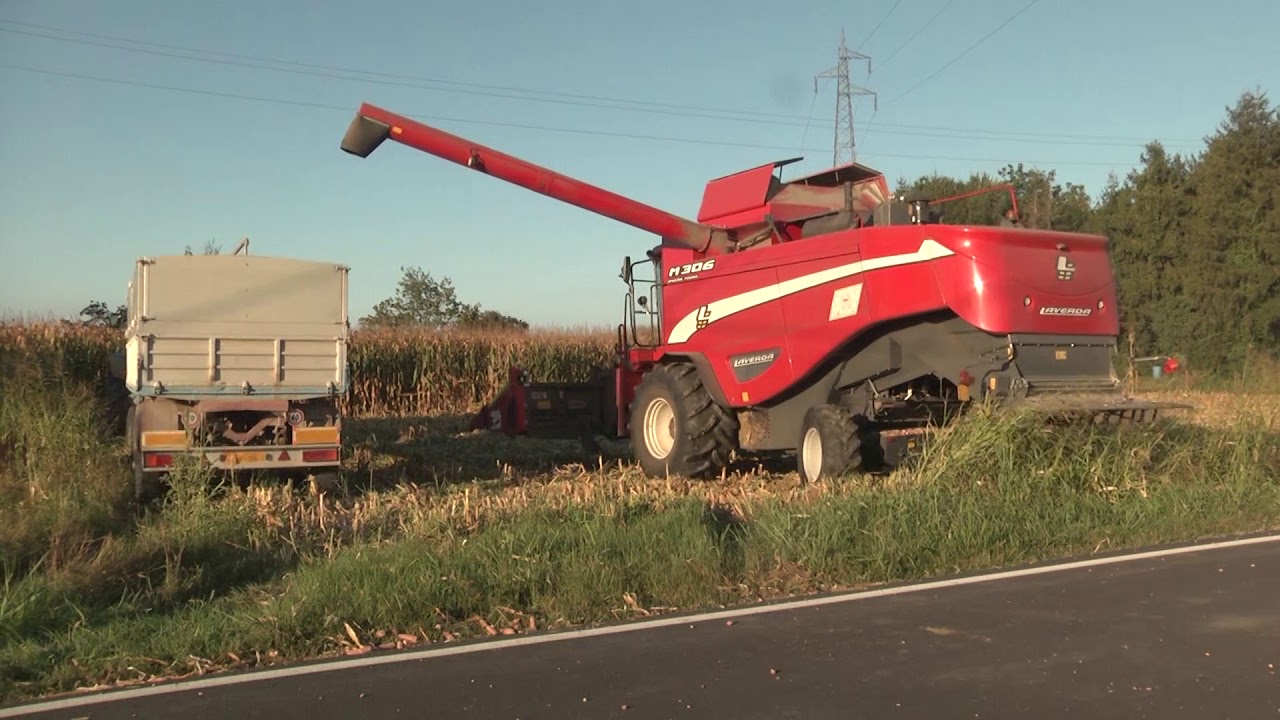 Trebbiatura Mais 2019 - Azienda agricola Ranzi
