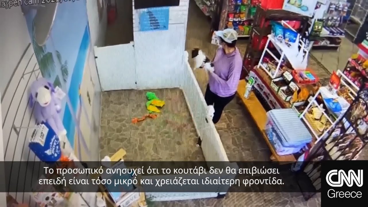 Βίντεο: Γυναίκα κλέβει κουτάβι από pet shop στην Φλόριντα | CNN Greece