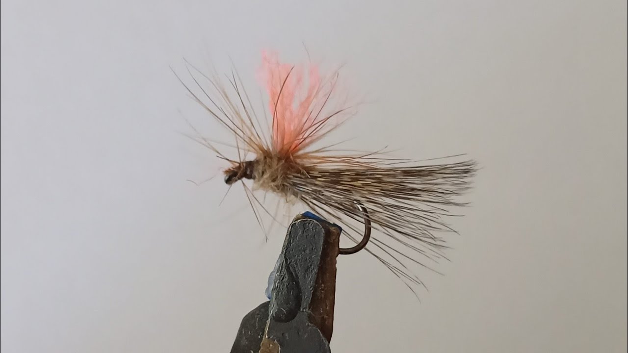 Tricoptero Matadora