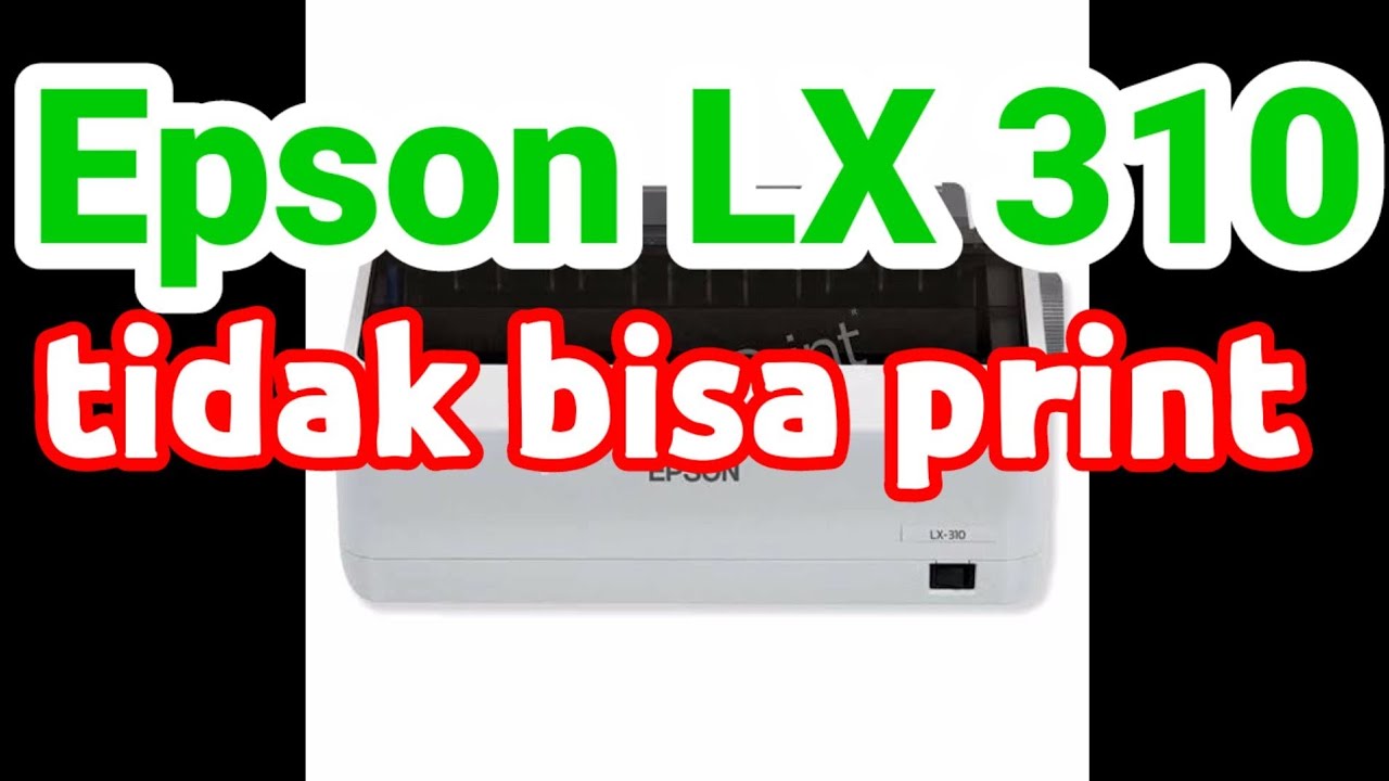 Printer Epson LX 310 Tidak Bisa Ngeprint, penyebab dan solusinya apa?