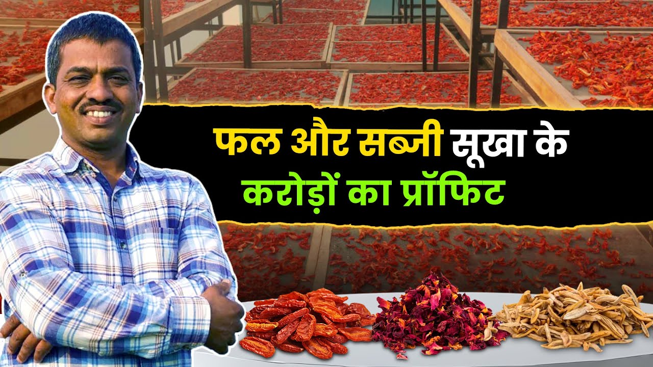सब्जी सूखा के करोड़ों का प्रॉफिट | Solar Dryer for Fruits and Vegetables | Solar Dryer Business