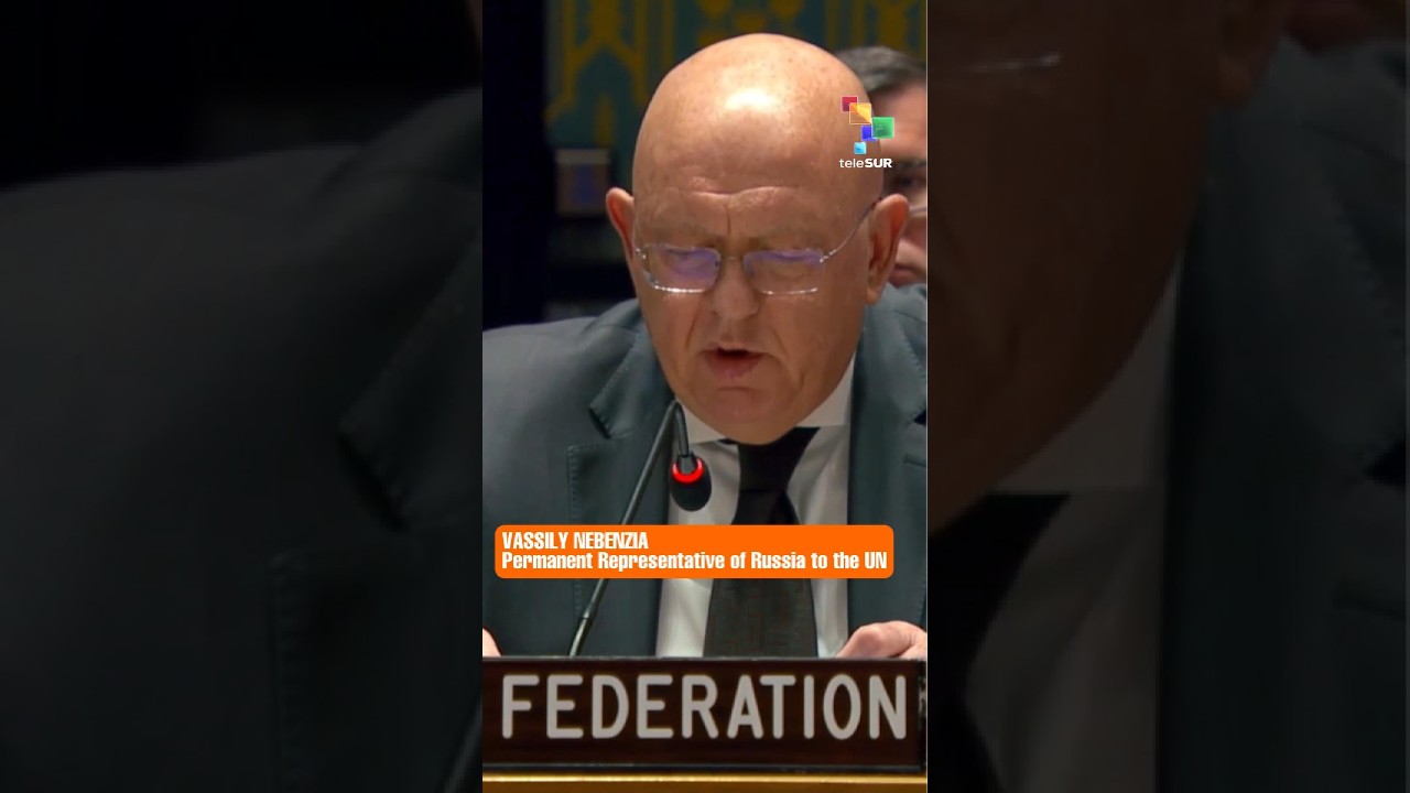 Василий Небензя: Зеленский продолжает клянчить у Запада новые поставки оружия и боеприпасов
