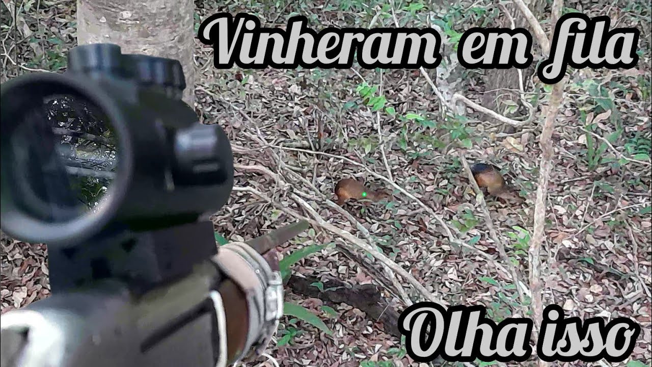 Espera De Cotia No Malfim, Olha Esse Abate! A Filmagem Ficou Top, Confiram!