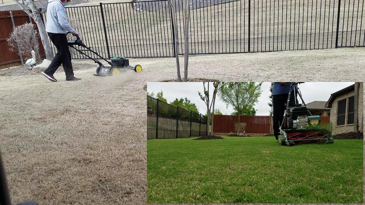 March and April lawn care for Bermuda lawns in Texas