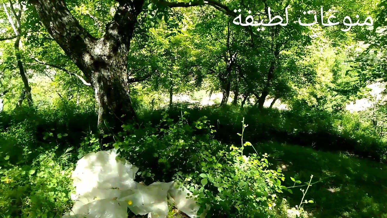 عشاق طبيعة بني اقليم الحسيمة🇲🇦🇲🇦🇲🇦❤️❤️❤️