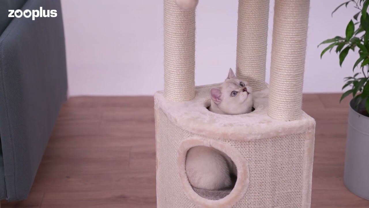 Catherine Cat Tree