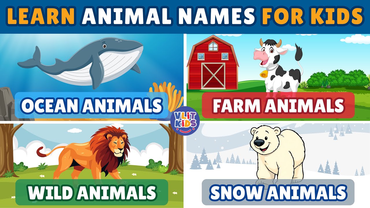 Learn Animal Names for Kids: Ocean Animals, Farm Animals, Wild Animals & Snow Animals