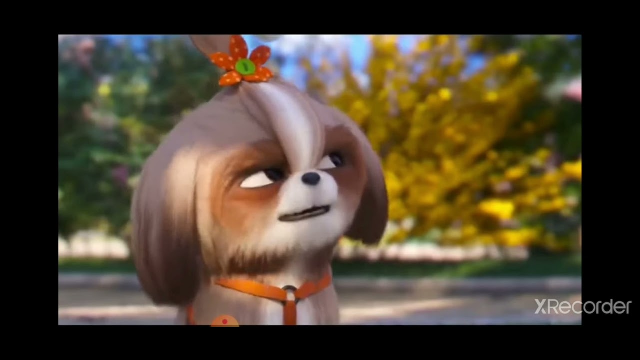 secret life of pets coffin  dance part1