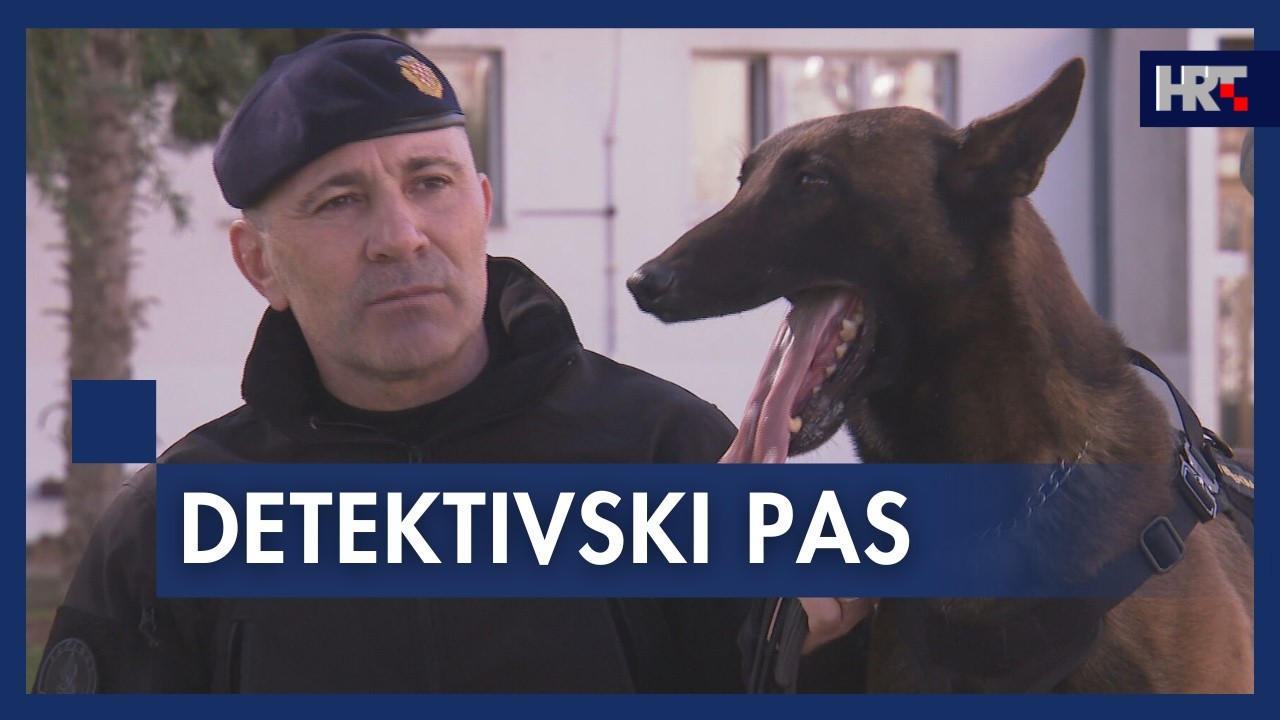 K9 u službi sigurnosti
