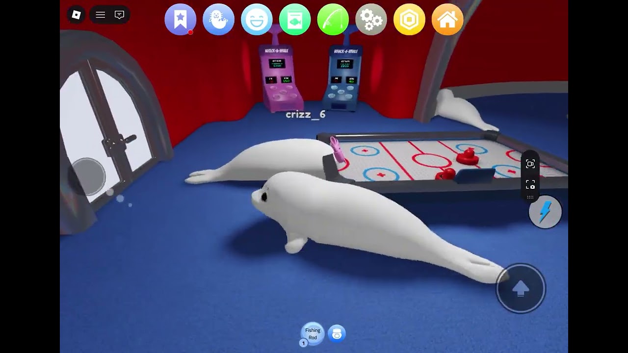 Playing be a silly seal