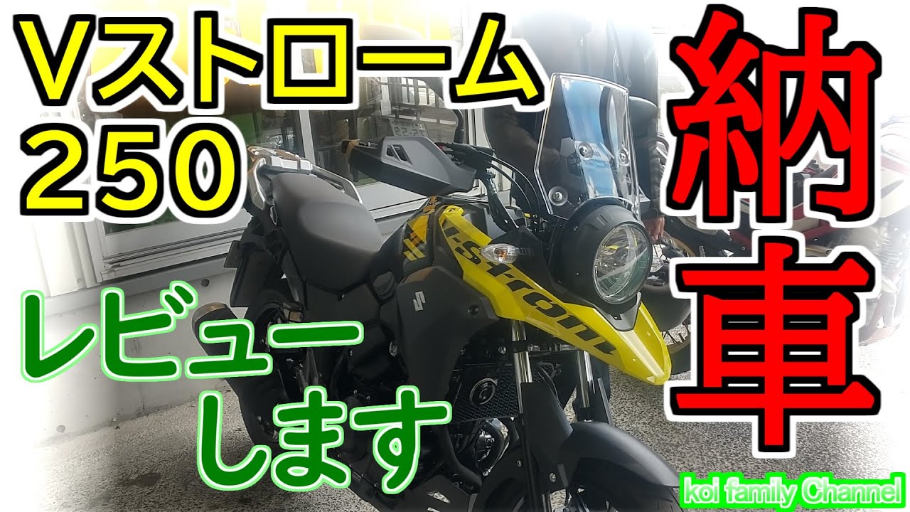 Vストローム250 納車 紹介