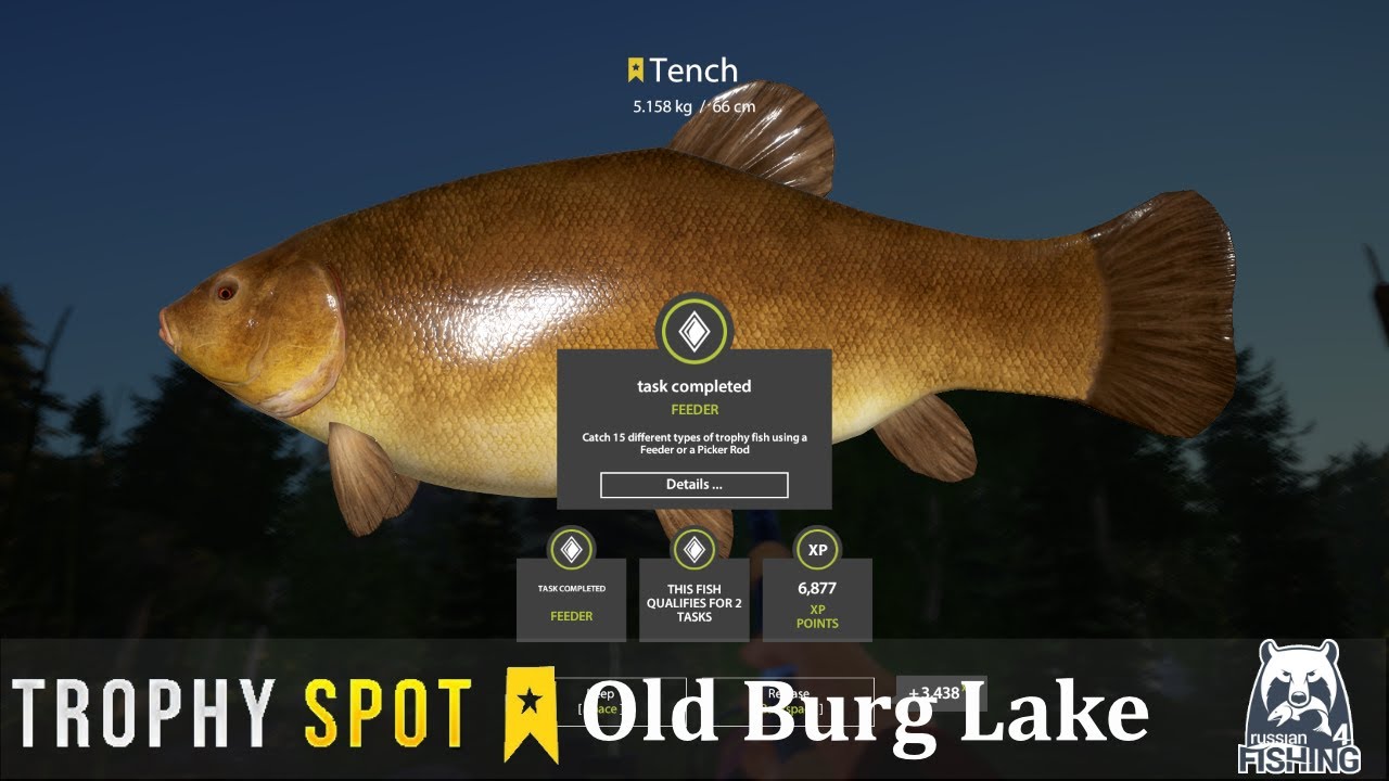 Russian Fishing 4 | Old Burg Lake trophy Tench spot