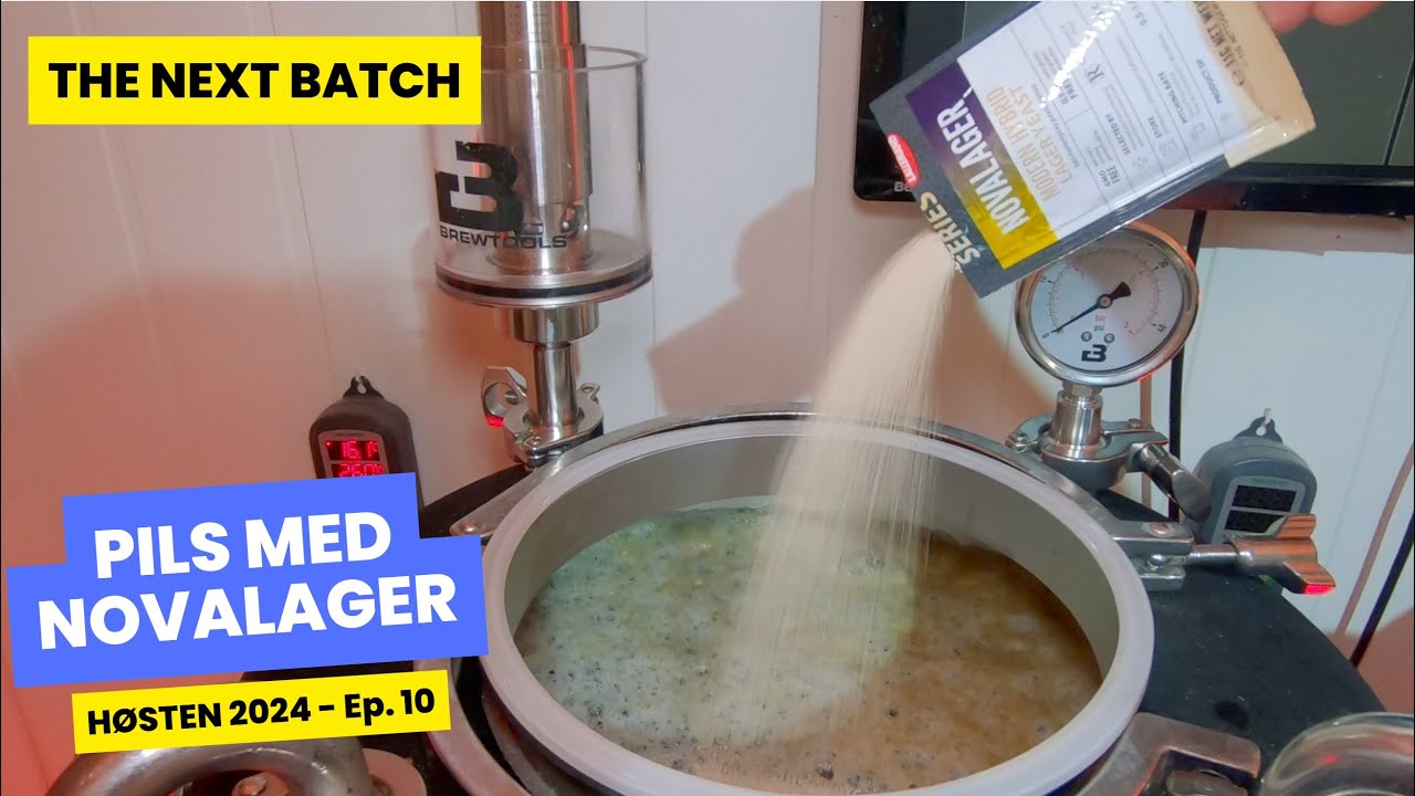 Brygger Pils med Novalager - blir det like godt som med vanlig lagergjær? | Høsten 2024, ep. 10