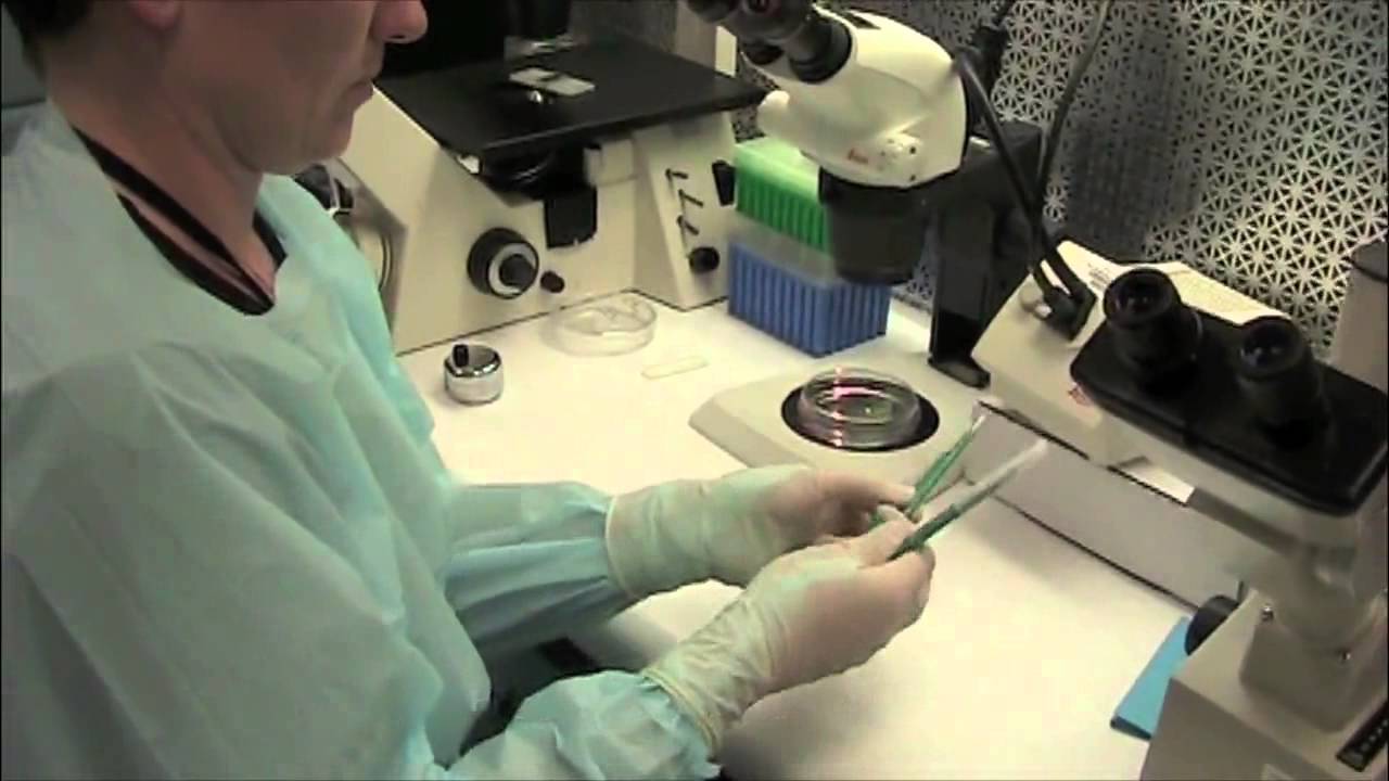 The Parkinson's Institute Skin Biopsy Processing Video Tutorial