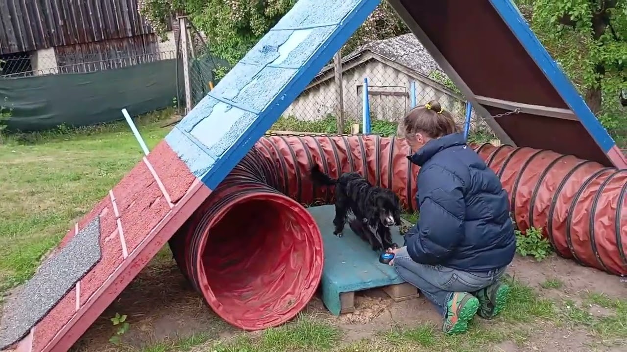 TopDog Parcourstraining 17. Mai 2025