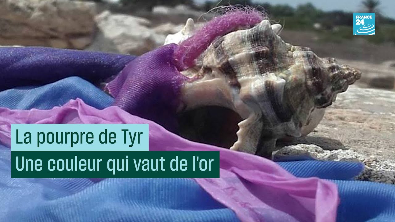 La pourpre de Tyr : une couleur qui vaut de l’or #CulturePrime