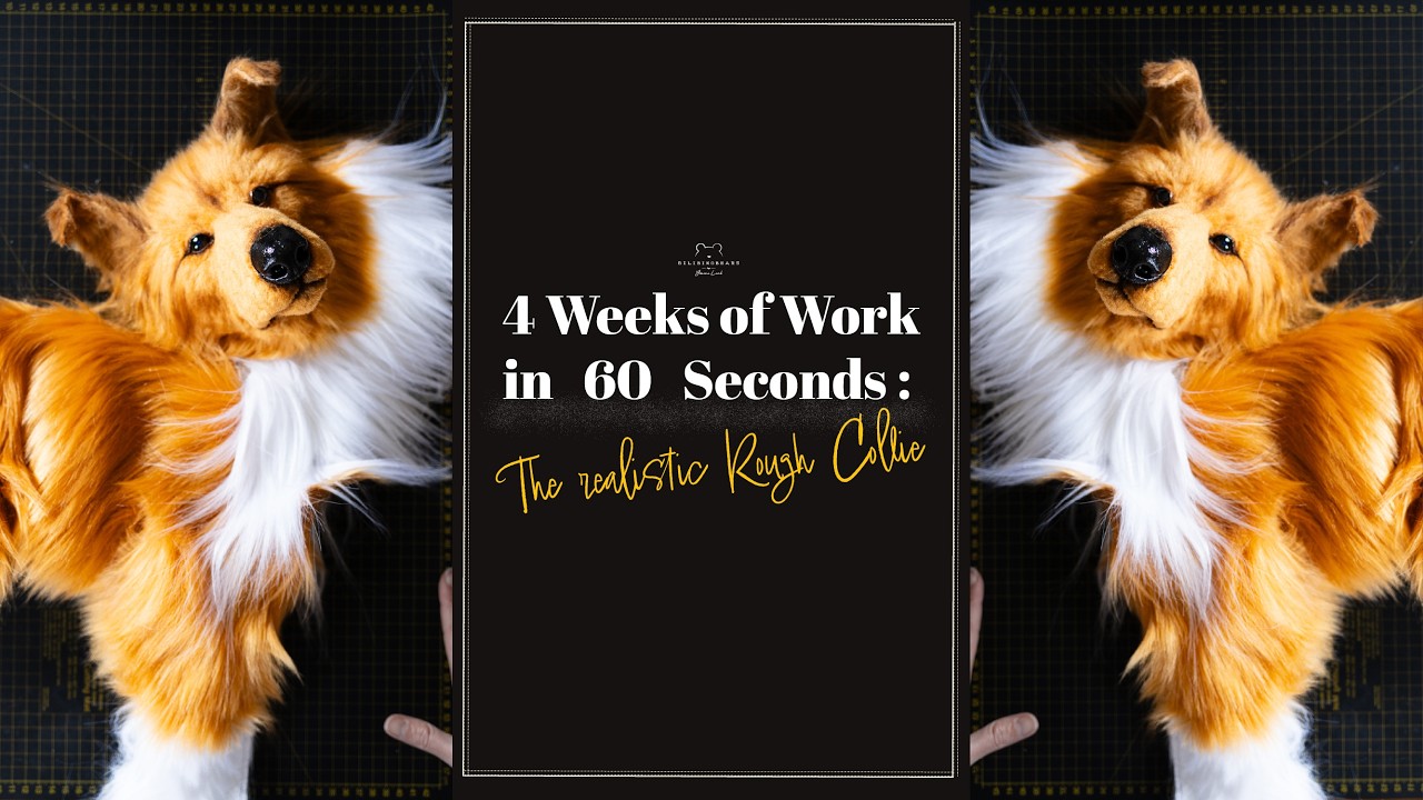 4 Weeks of Work in 60 Seconds: The Realistic Rough Collie