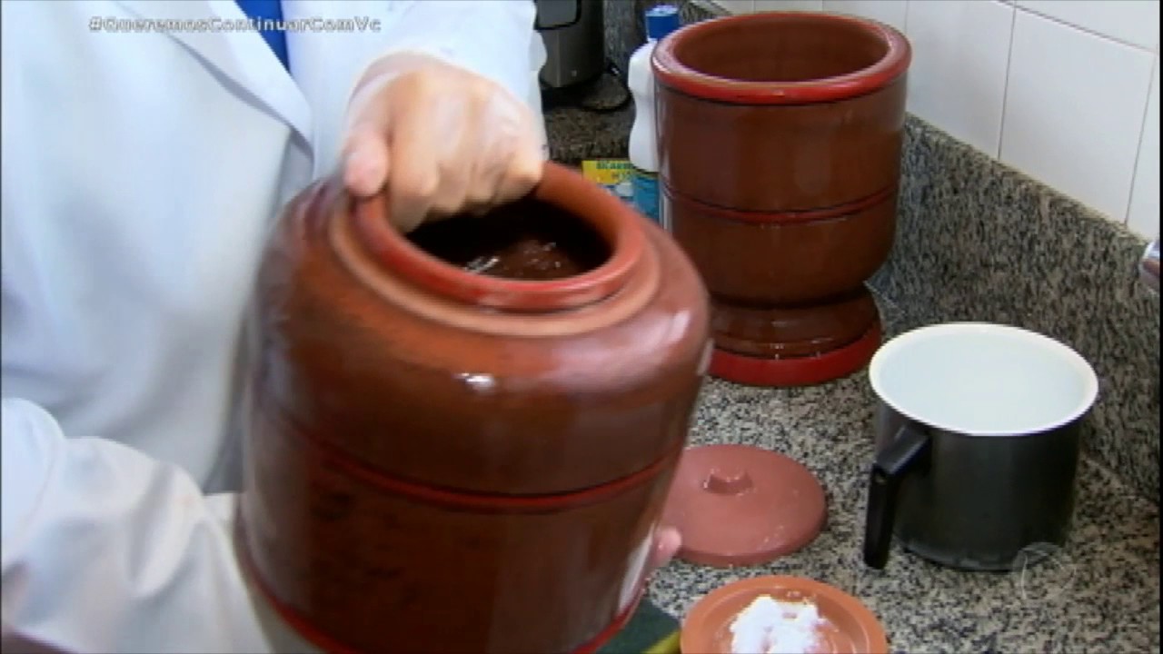 Dr. Bact&eacute;ria ensina a fazer a limpeza correta do filtro de &aacute;gua