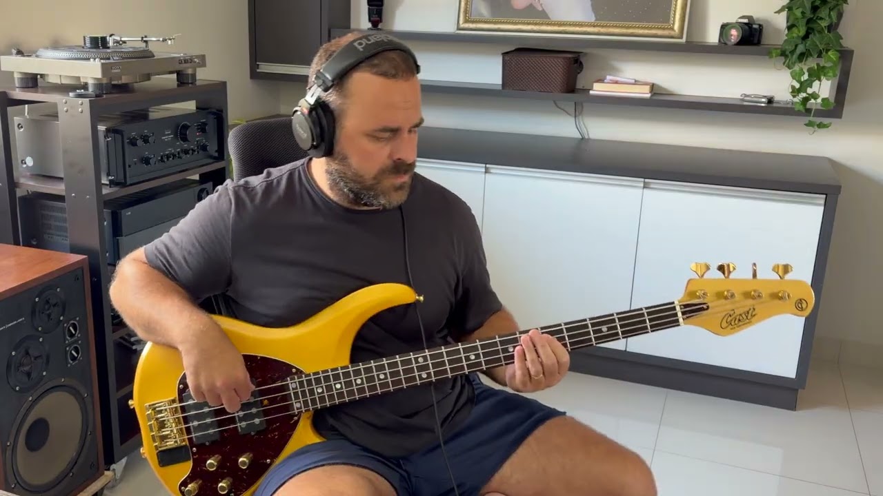 Woman in Chains - Tears for Fears - “BASS COVER”