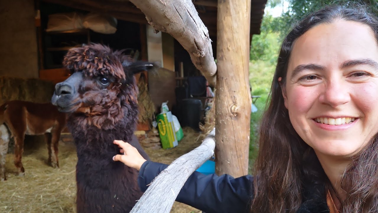 House Sitting na Casa do Pisão, uma forma de viajar poupando no alojamento | Geração Nómada RTP