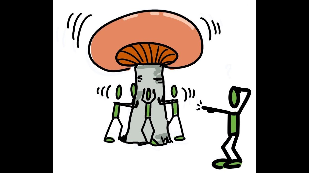 Create a visual strategy for success