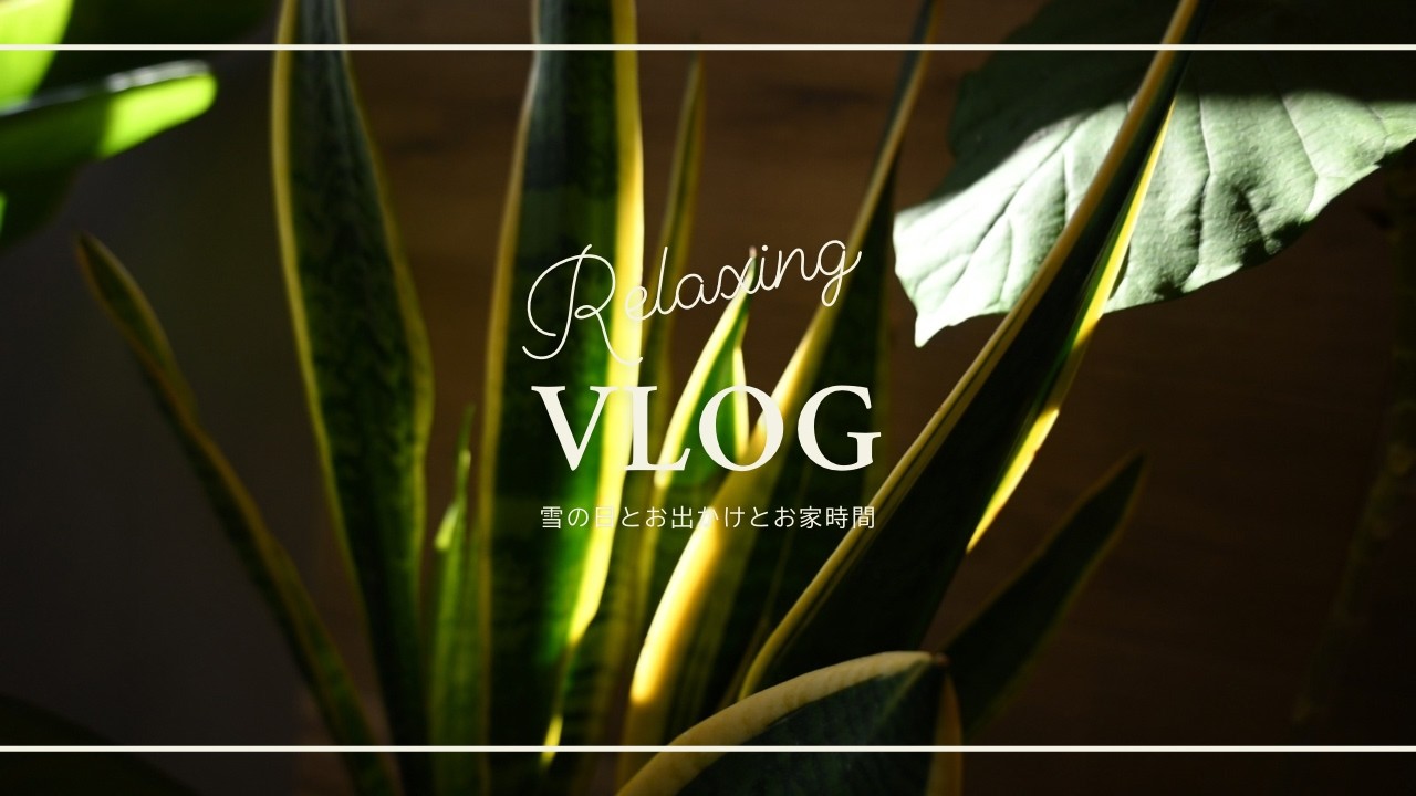 Vlog｜雪の日、おでかけ、植物に水やりをする、手帳Time、癒しのひととき