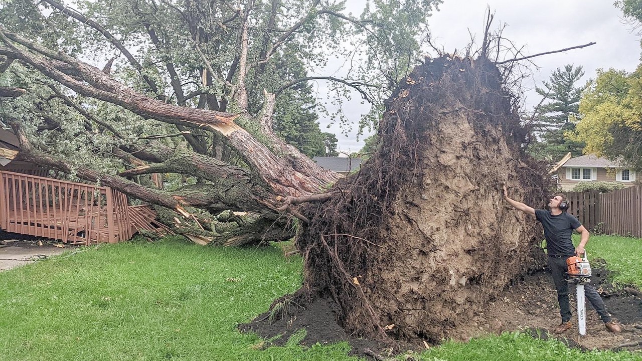 Sawing a Maple Tree That Fell on a House