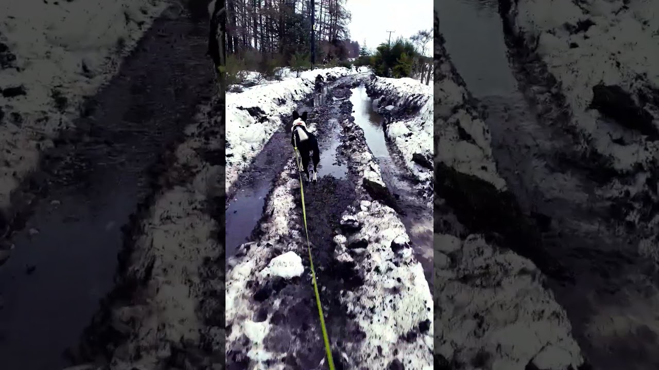 Ahh, good, The Thaw is underway 🥴
