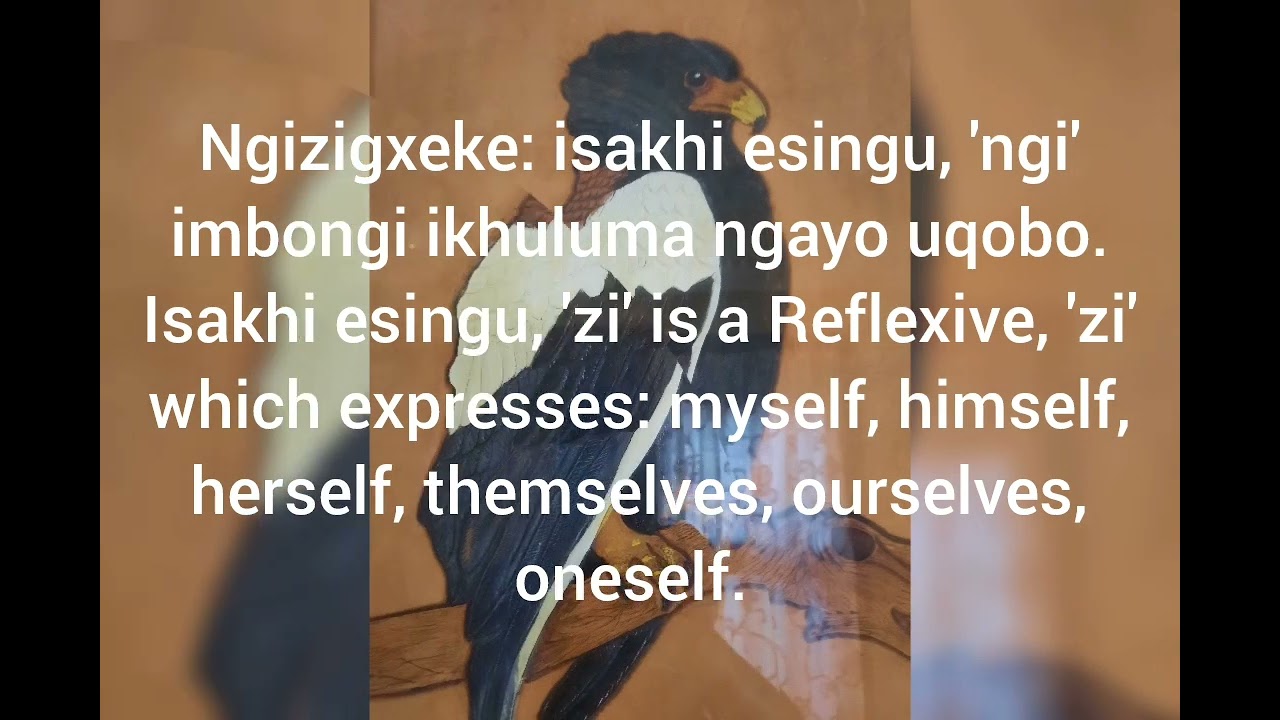Inkondlo: Ngikhanyisele Dlozi. Ukuchaza amagama akhethiwe. IBINZA lesi-3 nelesi-4