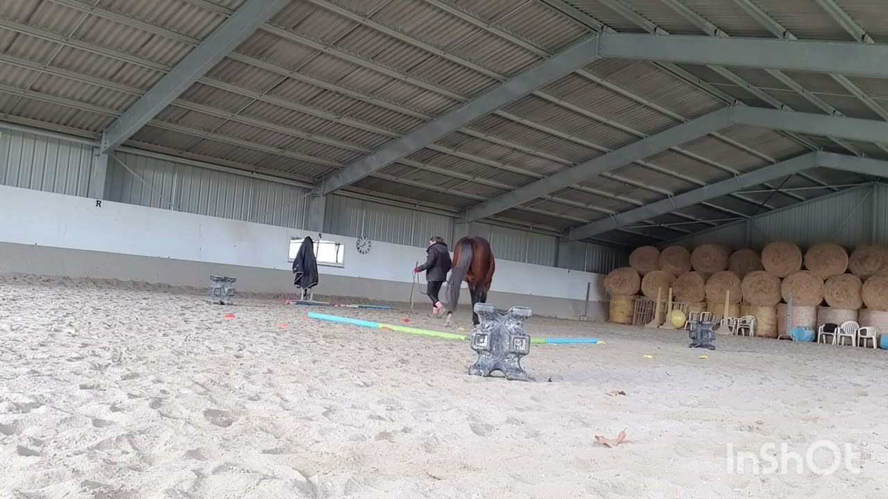 Equifeel Virtuel Cavalgo Edition 2026 - Entraînement - Club 1 - Manche 1