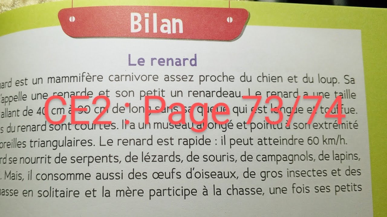 CE 2 : Bilan : Le renard page 73/74 cahier d' activités Le trésor des mots