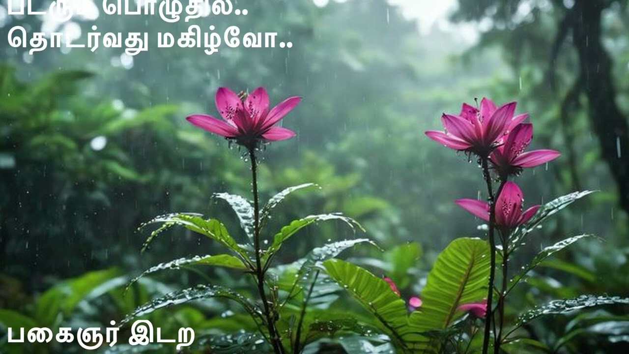 வீசும் தென்றலே… @ துளிலன்