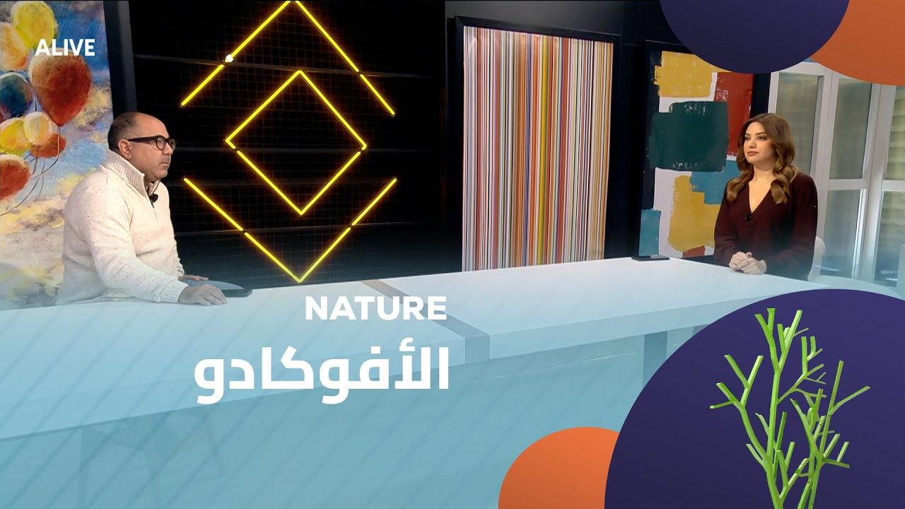 Nature - 24/01/2026 - الأفوكادو