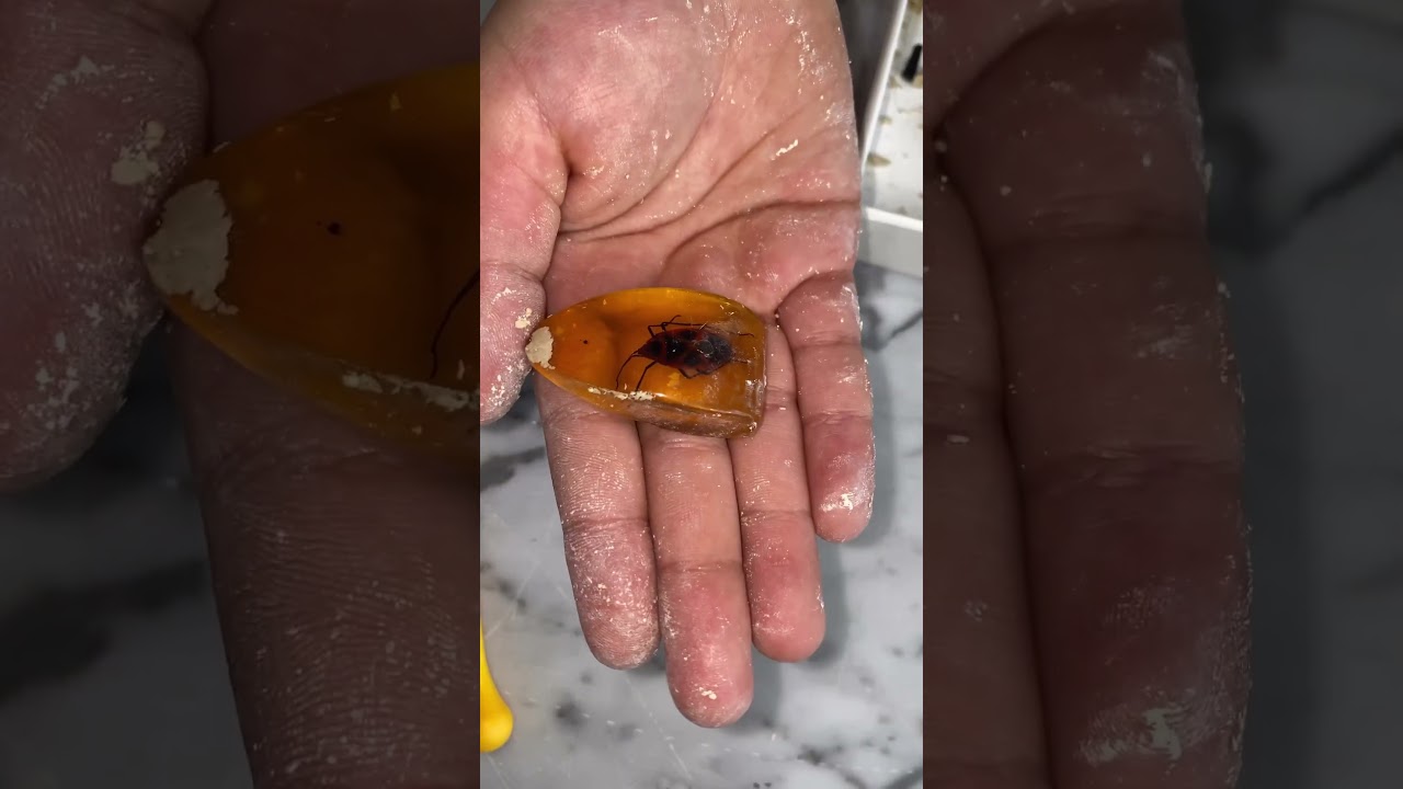 GobiDex Amber Dig Kit | Unveiling the Secrets of Amber #kidstoys  #discovery  #explorer #shorts