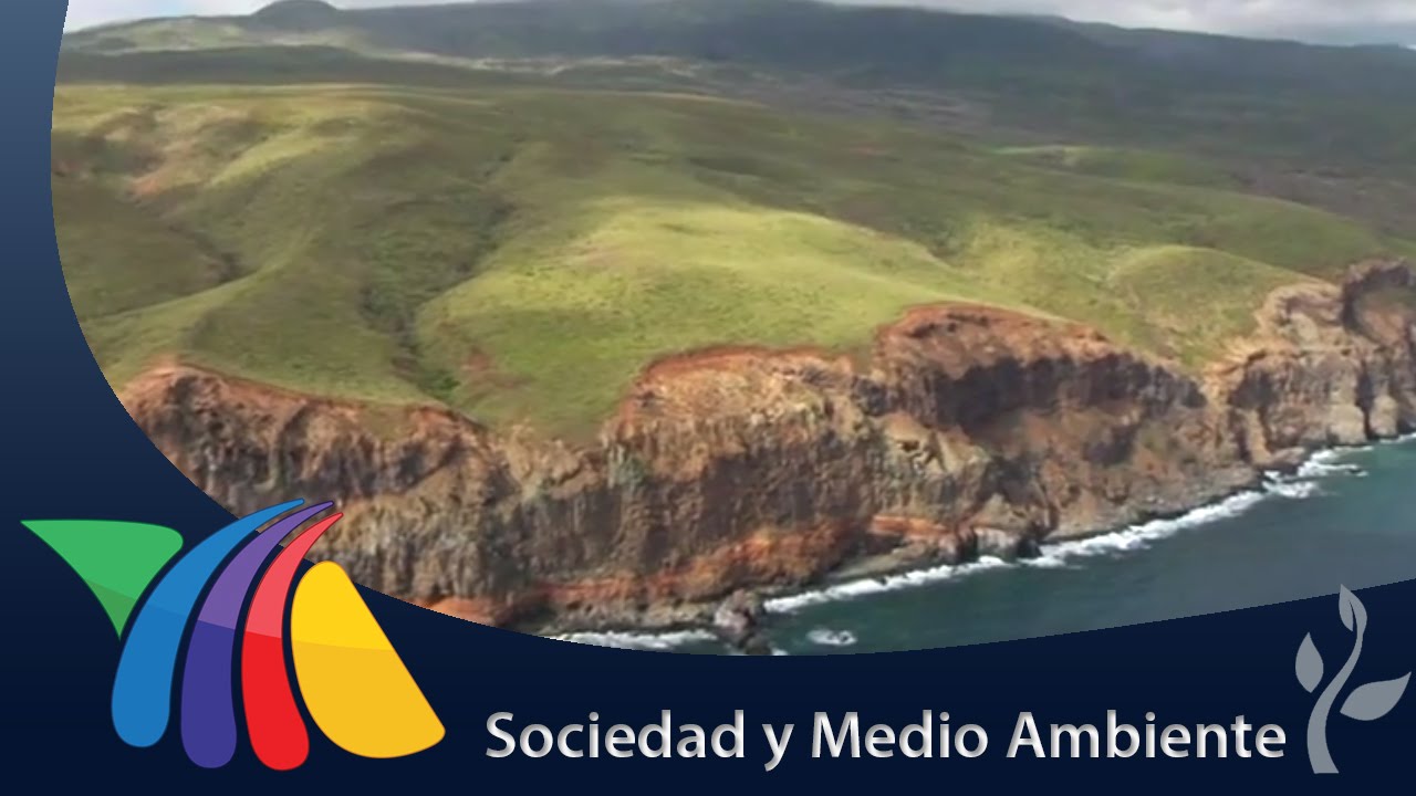 Islas Revillagigedo: vivir en el lugar más aislado