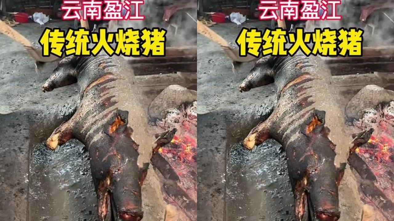云南盈江传统火烧猪，草木灰起到灵魂作用#火烧猪#云南美食