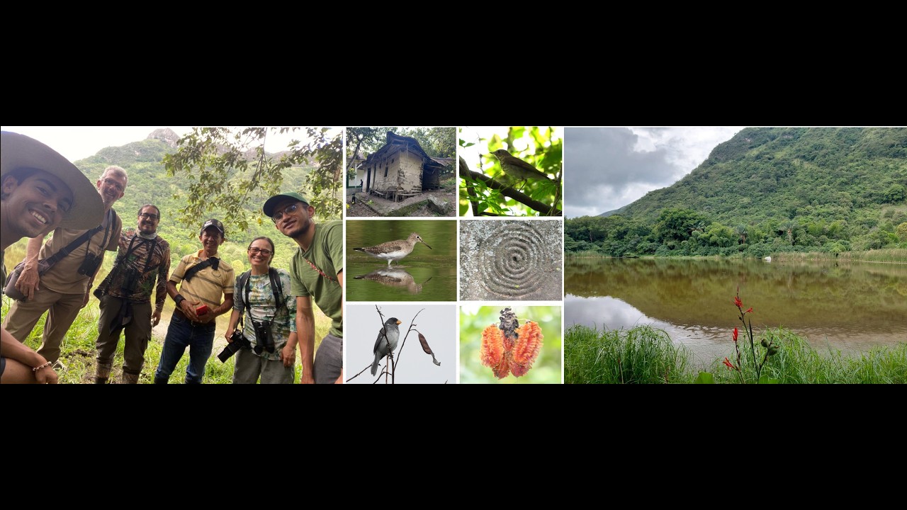 EDT MANEJO DE LA PLATAFORMA NATURALISTA COLOMBIA SEGUNDA PARTE