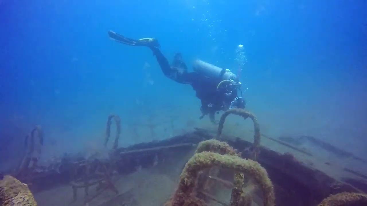 Diving in Puerto de Mogan, Gran Canaria
