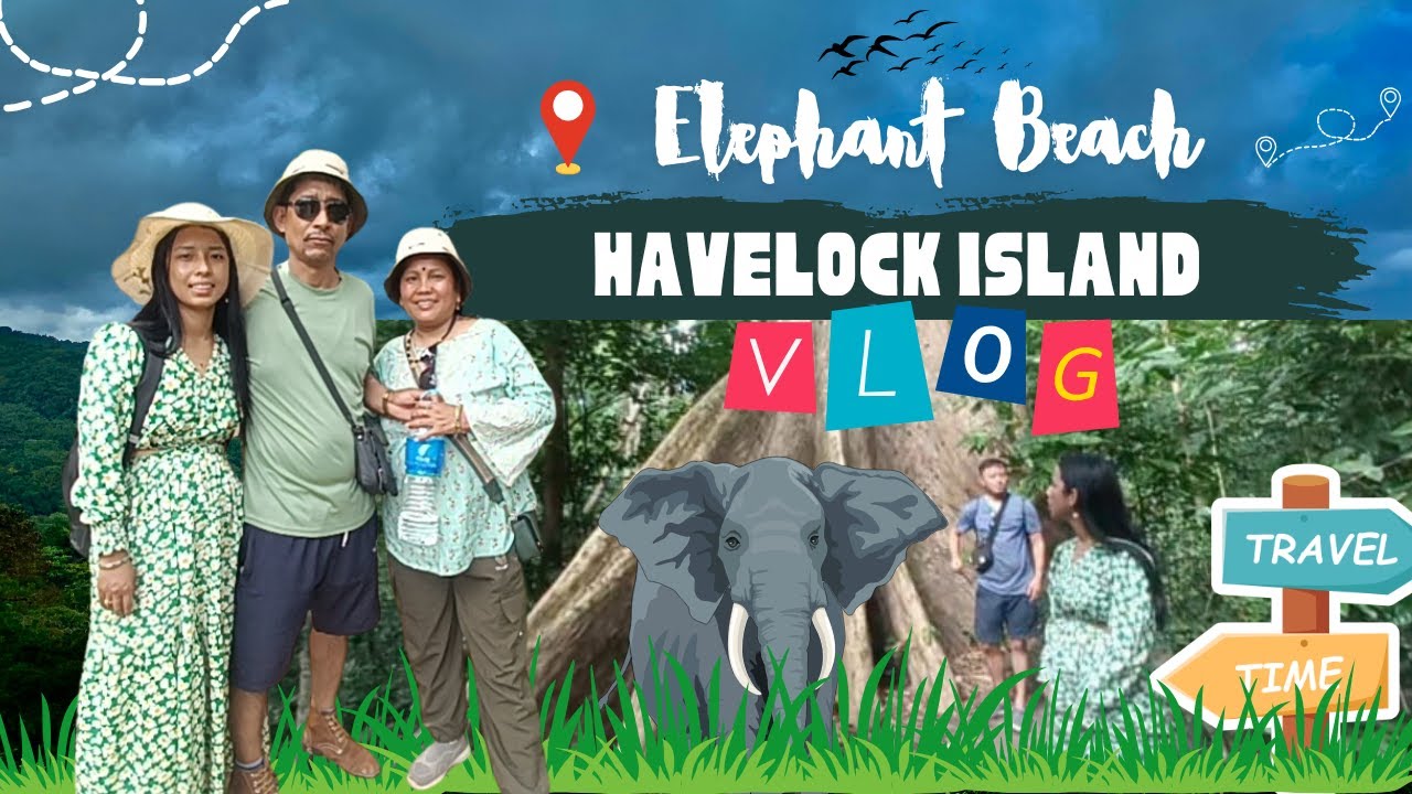 Elephanta beach mein hamen ye kya dikha 🤩😲(mangrove forest)//Deepshikha Gunjiyal #island #forest 