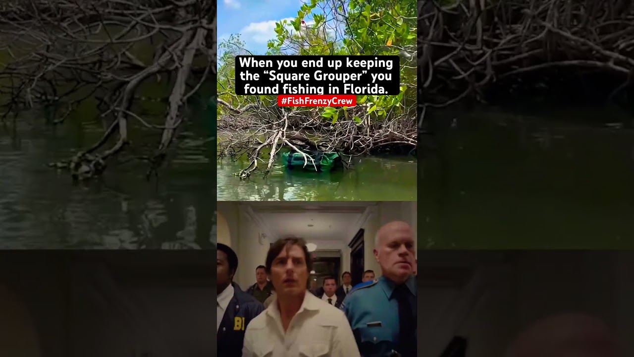 I&rsquo;m failing that test every time&hellip;😂 #fishfrenzycrew #squaregrouper #florida #fishingmeme