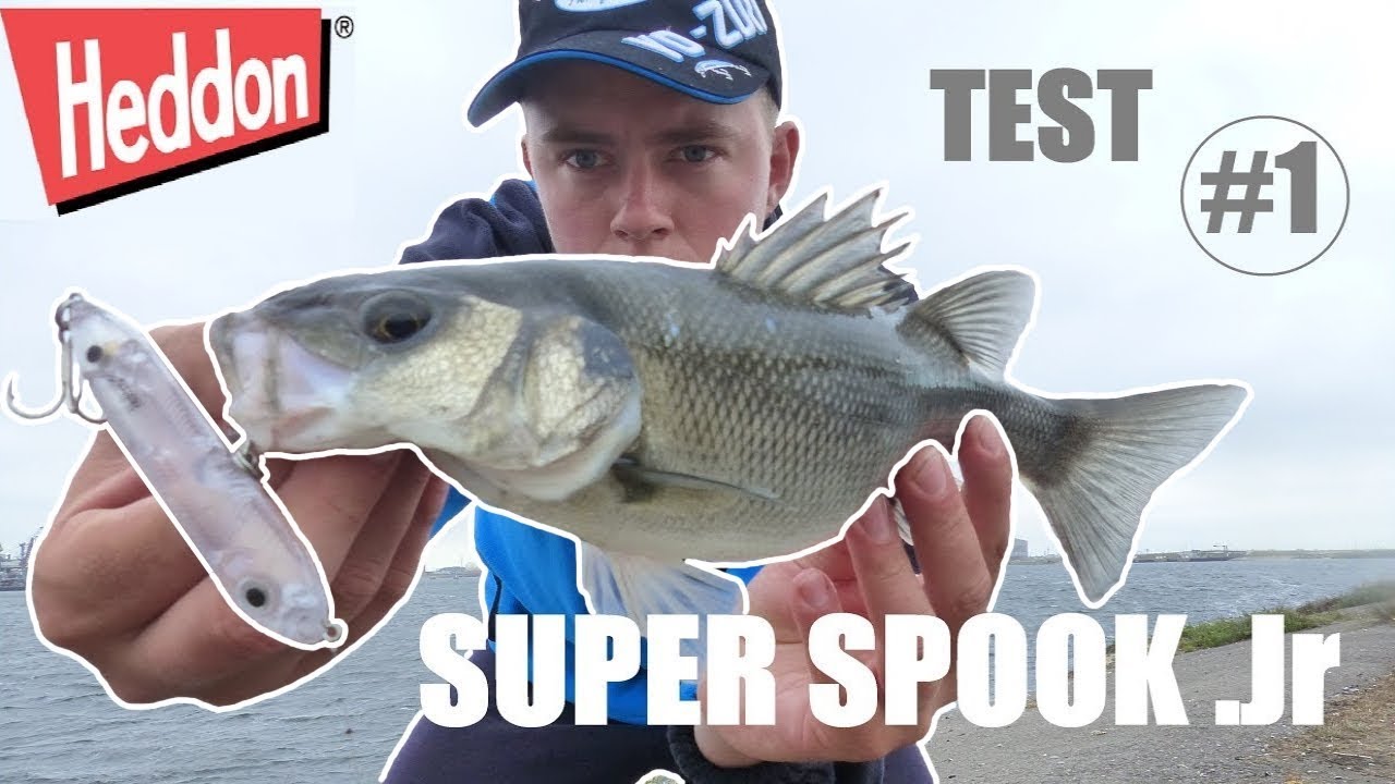TEST #1 - SUPER SPOOK .Jr / HEDDON