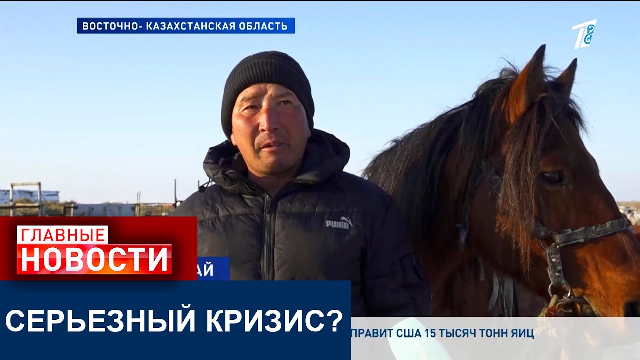 ПАСТУХОВ БОЛЬШЕ НЕТ: СКОТ ПОД УГРОЗОЙ, ФЕРМЕРЫ ВКО В ОТЧАЯНИИ