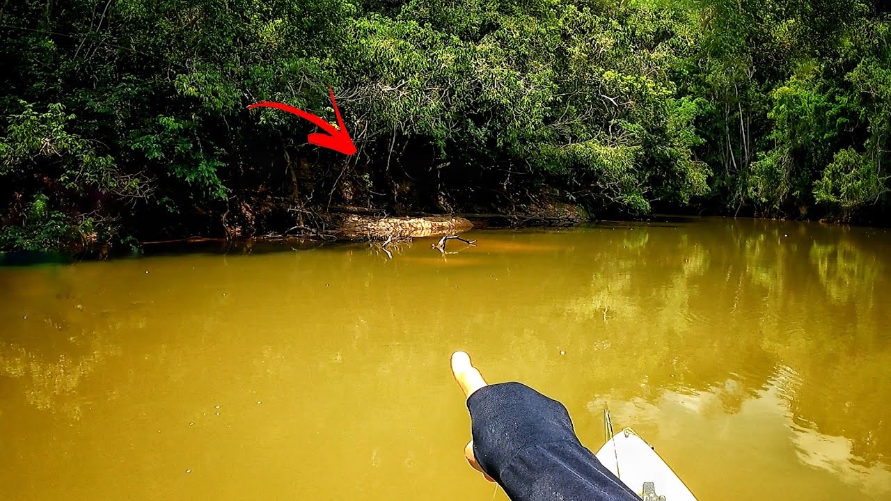 SE POSTOU &Eacute; PORQUE EST&Aacute; VIVO... NUNCA MAIS VOLTO NESSE LUGAR... Pescaria!