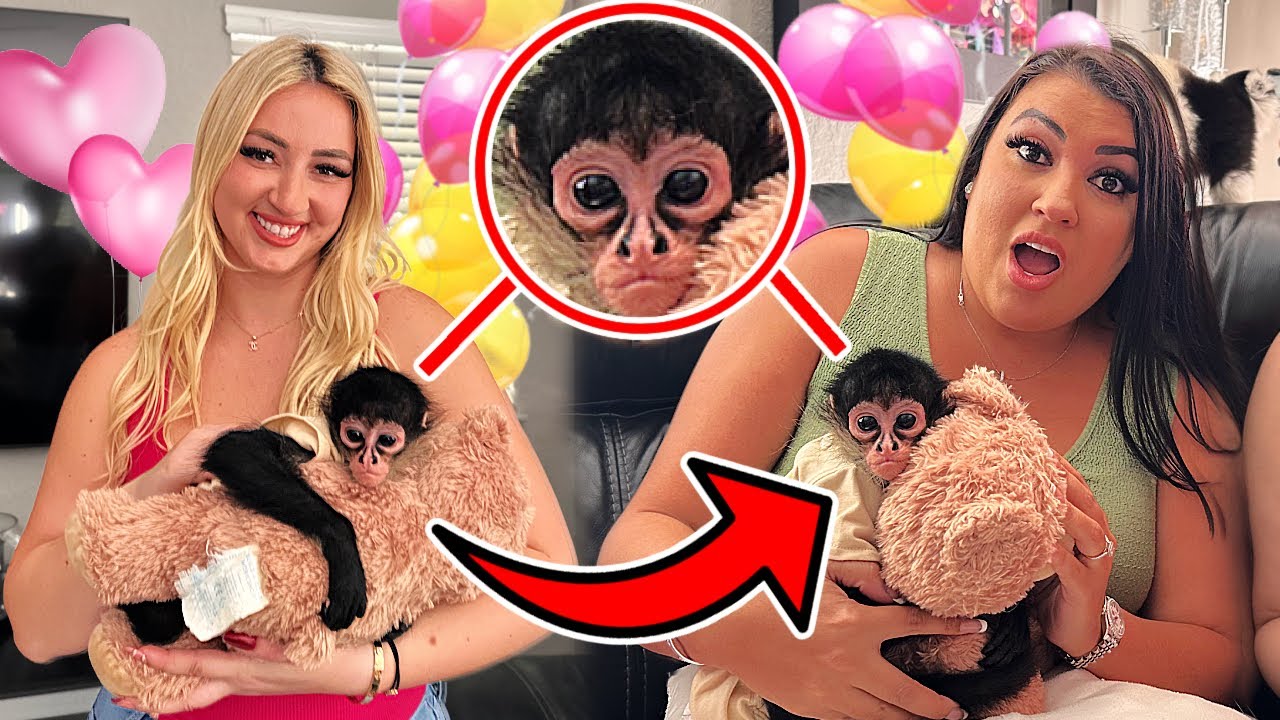 I SURPRISED HER WITH A MONKEY FOR HER BIRTHDAY...