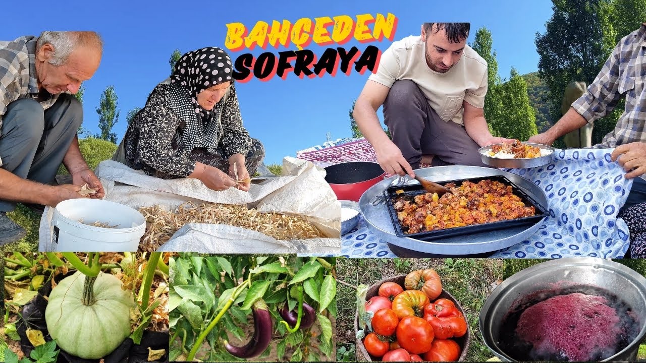 KÖY BAHÇESİNDEKİ ÜRÜNLERİMİZ / BU SEFER ŞEF ABİM