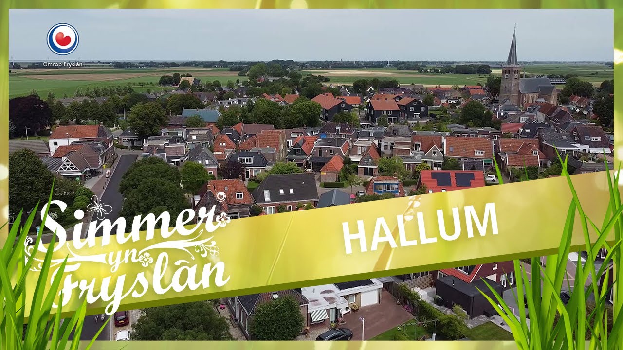 SIMMER: Hallum