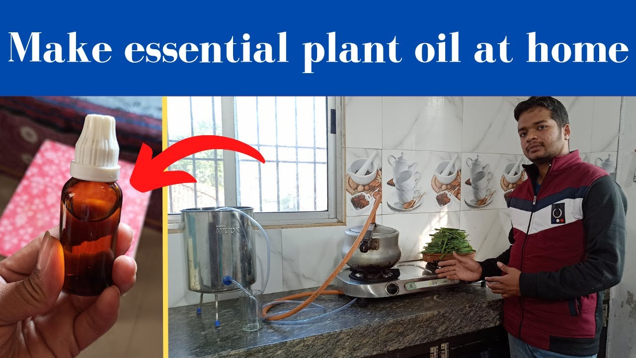 घर मे ही औषधी वनस्पतियो का अर्क निकाले |How to extract plant oil at home |Lemon grass oil extraction
