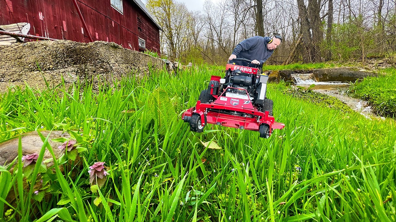 MASSIVE Snake Spotted while Mowing overgrown lawn with new Mower